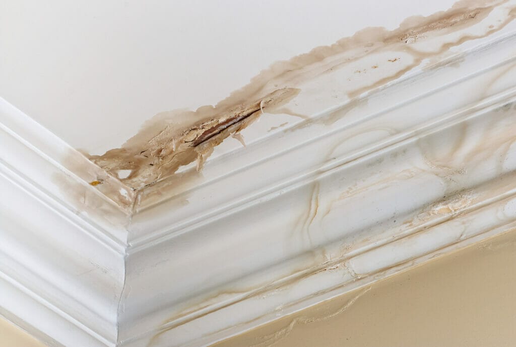 water leaking from ceiling